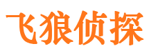 镜湖市婚外情调查